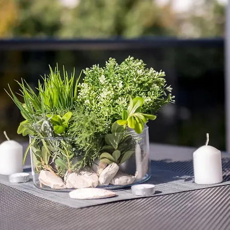 Veronique 4 Mit Whirlpool By Interhome *